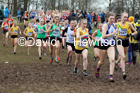 Womens under-20s, 2020 British Athletics Inter Counties Cross Country Champs., Prestwold Hall, Loughborough. Photo: David T. Hewitson/Sports for All Pics